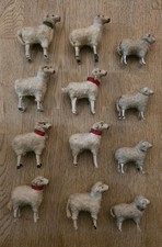 12 uralte Wollschafe